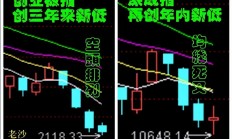 抢抓消费复苏机遇 深市公司“组团”分享成长秘籍