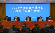 超700家上市公司宣布更换2024年度审计机构 “换所潮”背后三大现象凸显