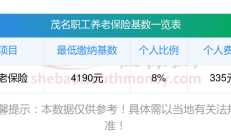 2025年政府工作报告7次提及保险 强调扩大出口信用保险、加快发展第三支柱养老保险 　　