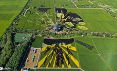 “禾”你一起“趣”稻田 稻田画赋能传统农业，北京大兴阳光农场转型网红打卡地