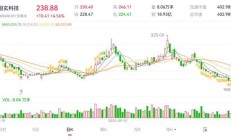 增量资金要来了！首批科创创业人工智能ETF+多只科创板芯片类ETF获批