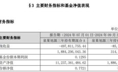 泉果基金回应创始人失联：董事长任莉因个人原因暂不能履职，由总经理王国斌代行其职务
