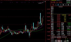 业绩、资金、创新等积极因素共振 A股券商股配置价值凸显