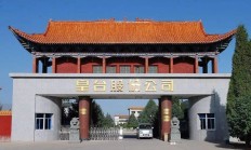 *ST松发完成近40亿配套融资，总市值飙升至460亿元