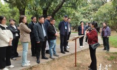 发展农业新质生产力 农业上市公司热议产业新机遇