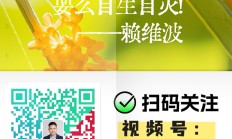 从力推IPO到鼓励并购重组 多省份调整资产证券化主要路径