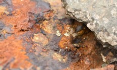 盛屯矿业预计上半年净利润暴增约五倍 公司股价开盘涨停