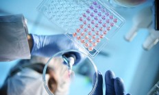 齐鲁银行发布业绩快报：2024年实现净利润49.86亿元 同比增长17.77%