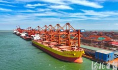 吞吐量走高 港口景气度持续提升