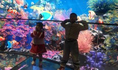 “海洋馆第一股”控制权易主