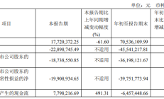 申联生物连亏1年半 2019年上市即巅峰募4.4亿