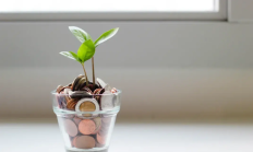 社交媒体频现证券投顾代理维权广告——莫让非法代理维权成为生意