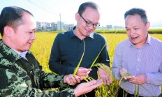 守牢主阵地 耕好试验田 北交所“滴灌”创新型中小企业茁壮成长