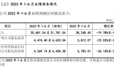 遭立案、业绩变脸，晶华微上市两年后“变样”