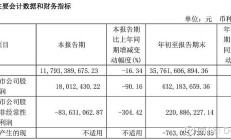 保利发展拟发不超95亿可转债 上半年营收平净利降4成