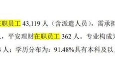 黑芝麻2024年上半年净利润下滑36.88% 今年内股价已跌超40%