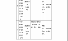年内会计师事务所罚单数已超去年全年 严监管重塑行业生态