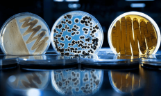 紫燕食品：已委托多家权威第三方检测机构对产品进行微生物检测