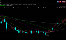 9月内154家科创板公司获机构密集调研 电子、机械设备等行业受关注