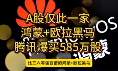 境外投资者“爆买”A股公司的启示