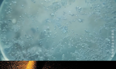 海尔生物2024年上半年净利润下降15.84% 重要股东连年减持、转让股份