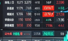 全球股市巨震 “国家队”出手增持中国股票资产 情绪释放后行情怎么走？