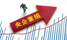 央国企改革持续加码，加速专业化整合重组