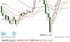 港股延续升势 小鹏早盘涨超8%