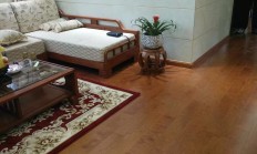 “五问”菲林格尔蹊跷易主交易