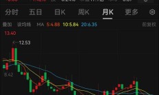 云天励飞近一个月回购0股 股价较发行价已跌去一半