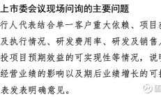 昊创瑞通IPO过会：业绩增长可持续性被追问，神秘股东蔡建仁身份受关注