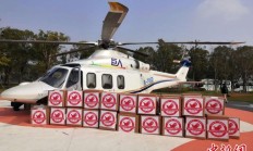 国药财务公司2024年累计投放信贷资金228.75亿元 实现营收6.83亿元