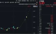 遭公开谴责 ST高鸿暴涨后跌停