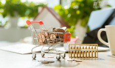 新洁能实控人一致行动人拟减持 2020上市2募资共19亿