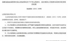 杜丹丹获批担任西电财务公司董事长