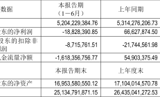 天宜上佳上半年亏损近5亿元 跨界光伏失利后加大“老本行”投标力度