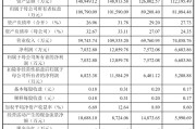 电工合金拟发不超5.45亿可转债 去年净利降现金流转负