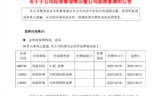闻泰科技上半年净利润预计大幅增长，4位核心高管集体辞任
