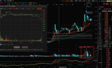 大盘高开低走，但多只布局机器人概念的基金逆势领涨