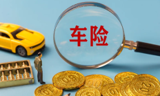 什么是车辆的附加险？