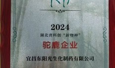 东阳光上半年扭亏：货币资金49亿元无法覆盖短期债务 拟发债“借新还旧”