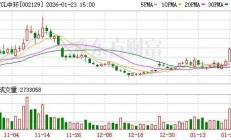 宁波华翔欧洲业务长期大额亏损 初步定价1欧元拟出售6家公司