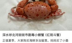 买海鲜混入毒蟹险酿大祸 螃蟹季食鲜小心这些海洋“毒物”