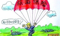 旅意险，你的旅游搭子