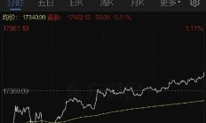港股小幅反弹 又有个股闪崩