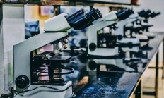 翰宇药业原料药替尔泊肽获美国FDA的DMF备案号