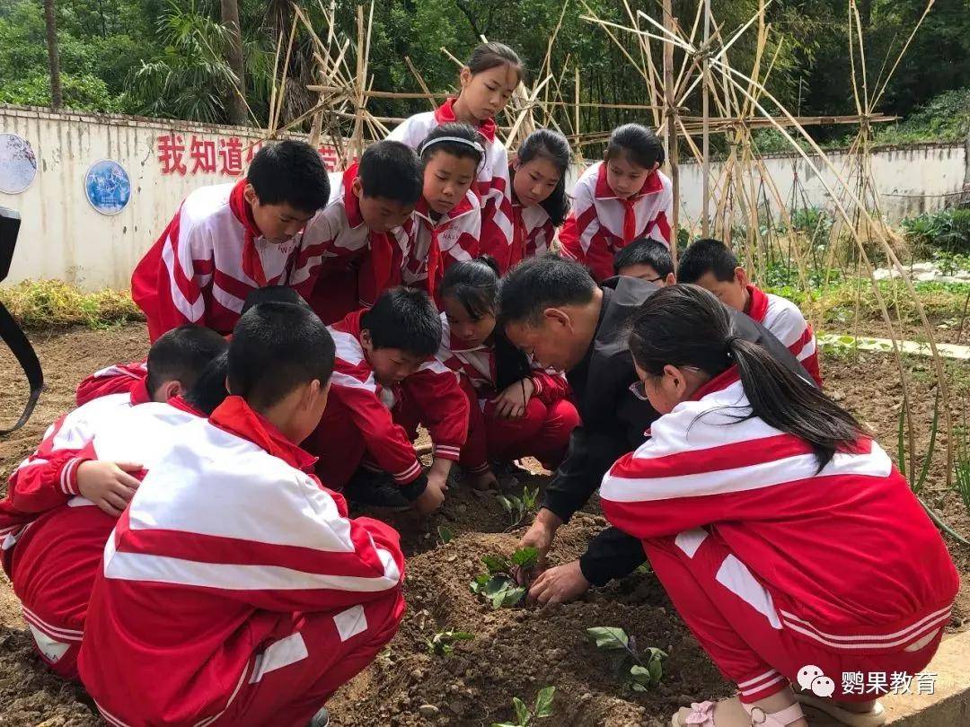 全国人大代表刘希娅：建议降低中小学的生师比