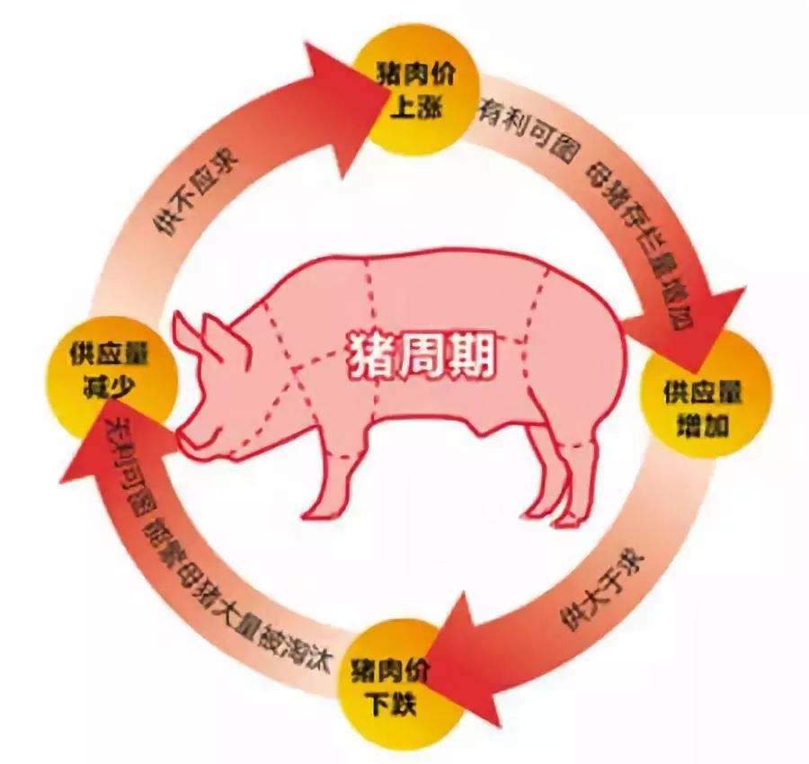 猪价下行周期持续“扩产” 神农集团拟以简易程序定增融资2.9亿元