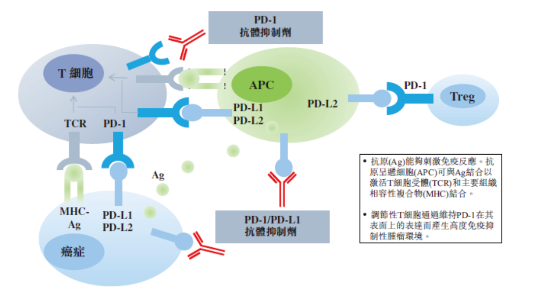 科伦博泰PD-L1单抗科泰莱获批上市 适应症为鼻咽癌