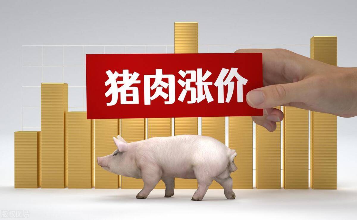 去年猪价呈“倒V”走势、猪企纷纷扭亏为盈，今年猪市行情如何走？